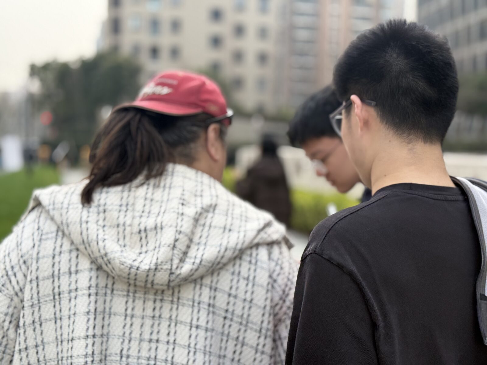 活动照片