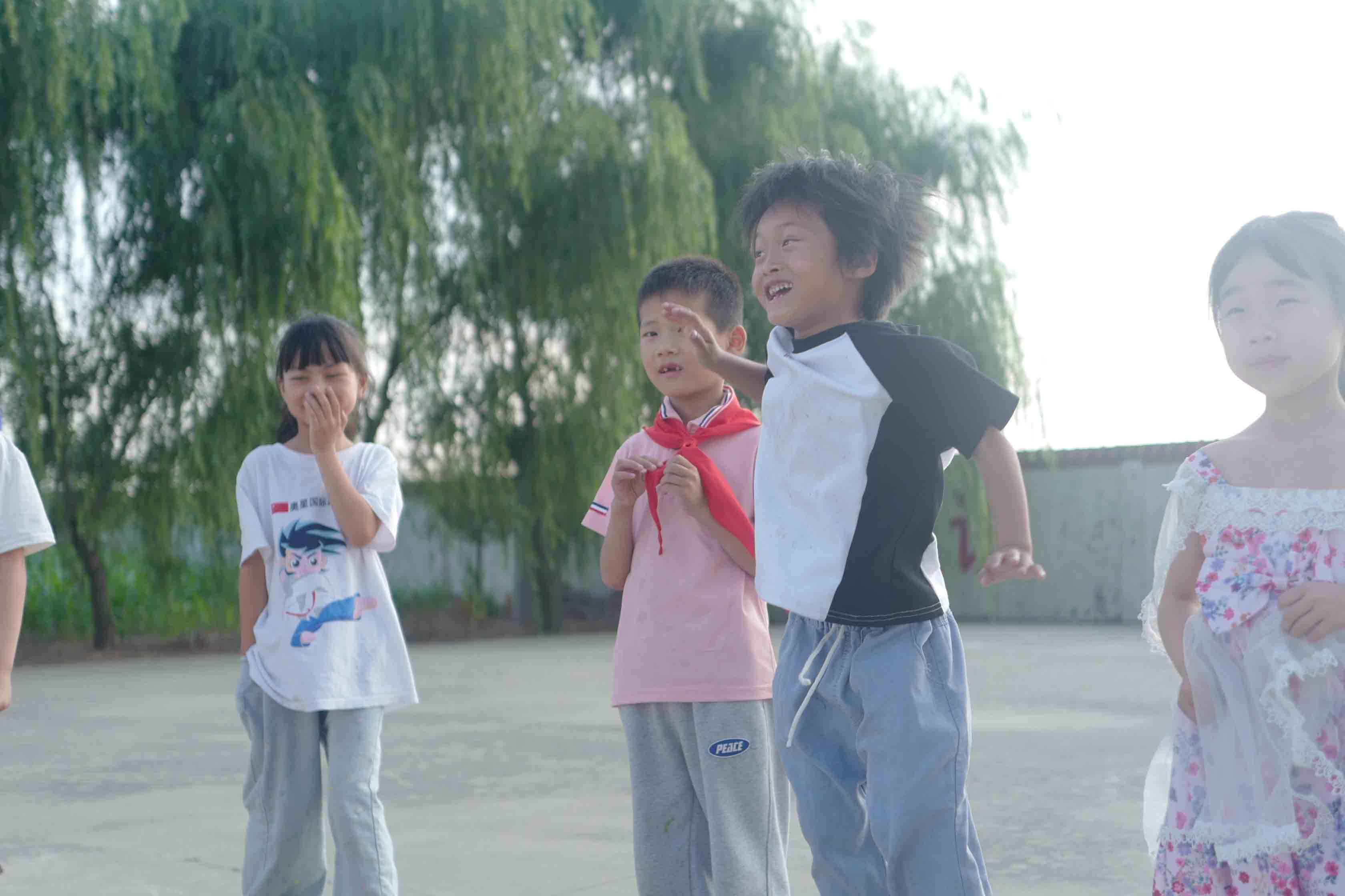 活动照片