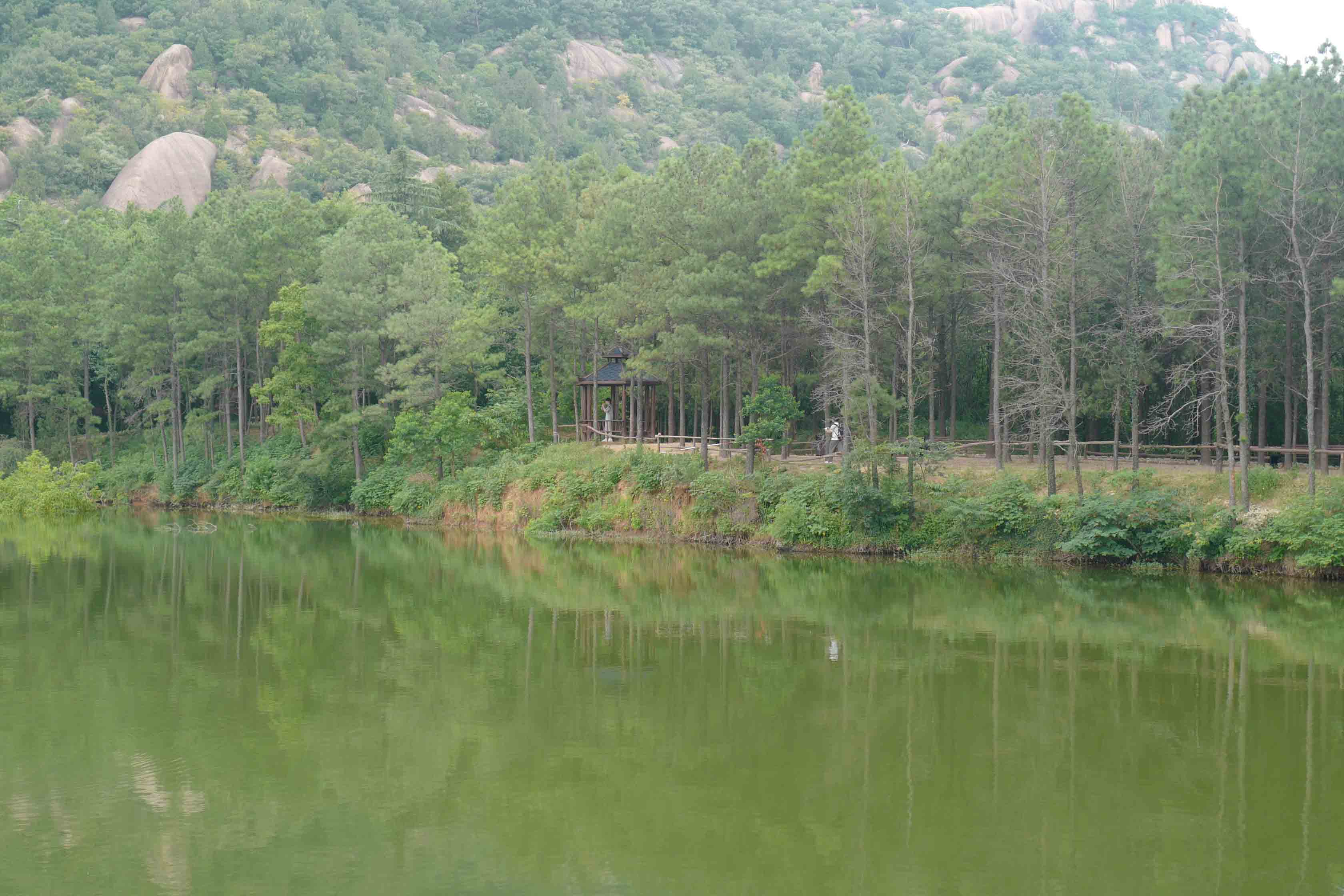 活动照片